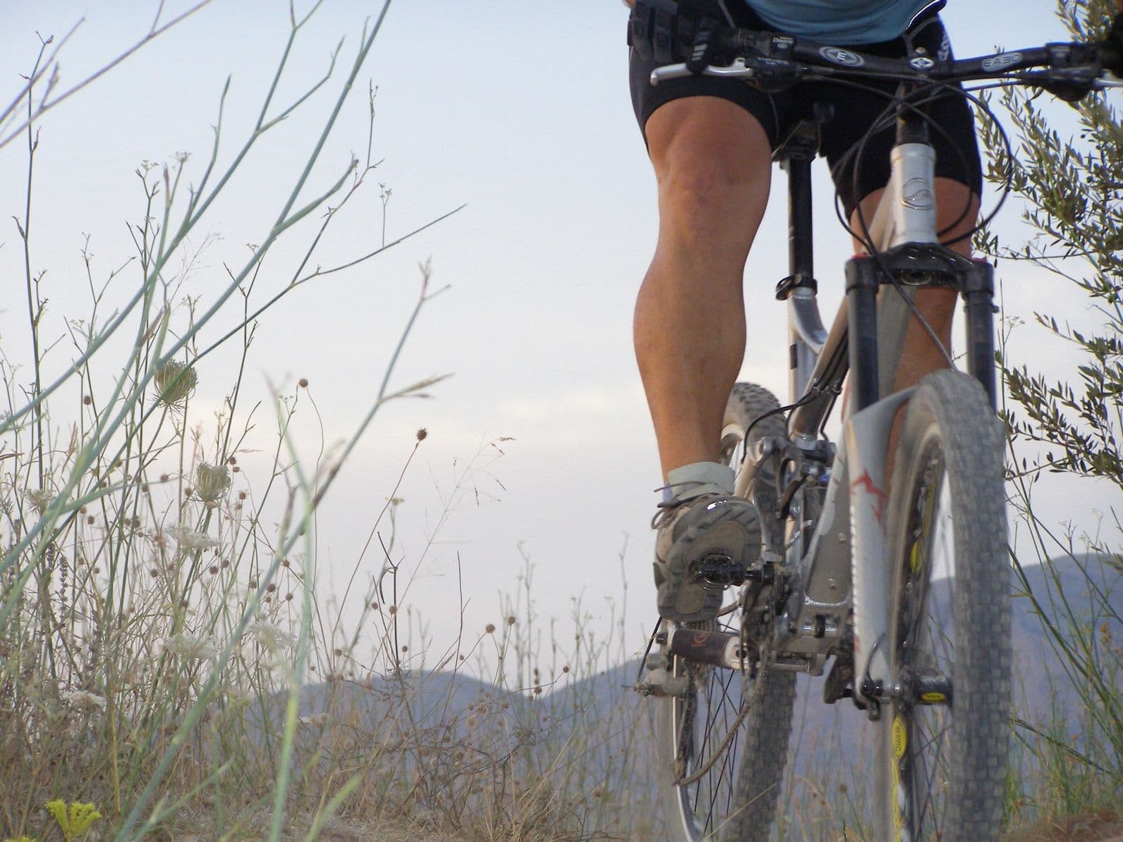 Find Your Sweet Spot: Why Zone 2 Cycling is Your Secret Weapon